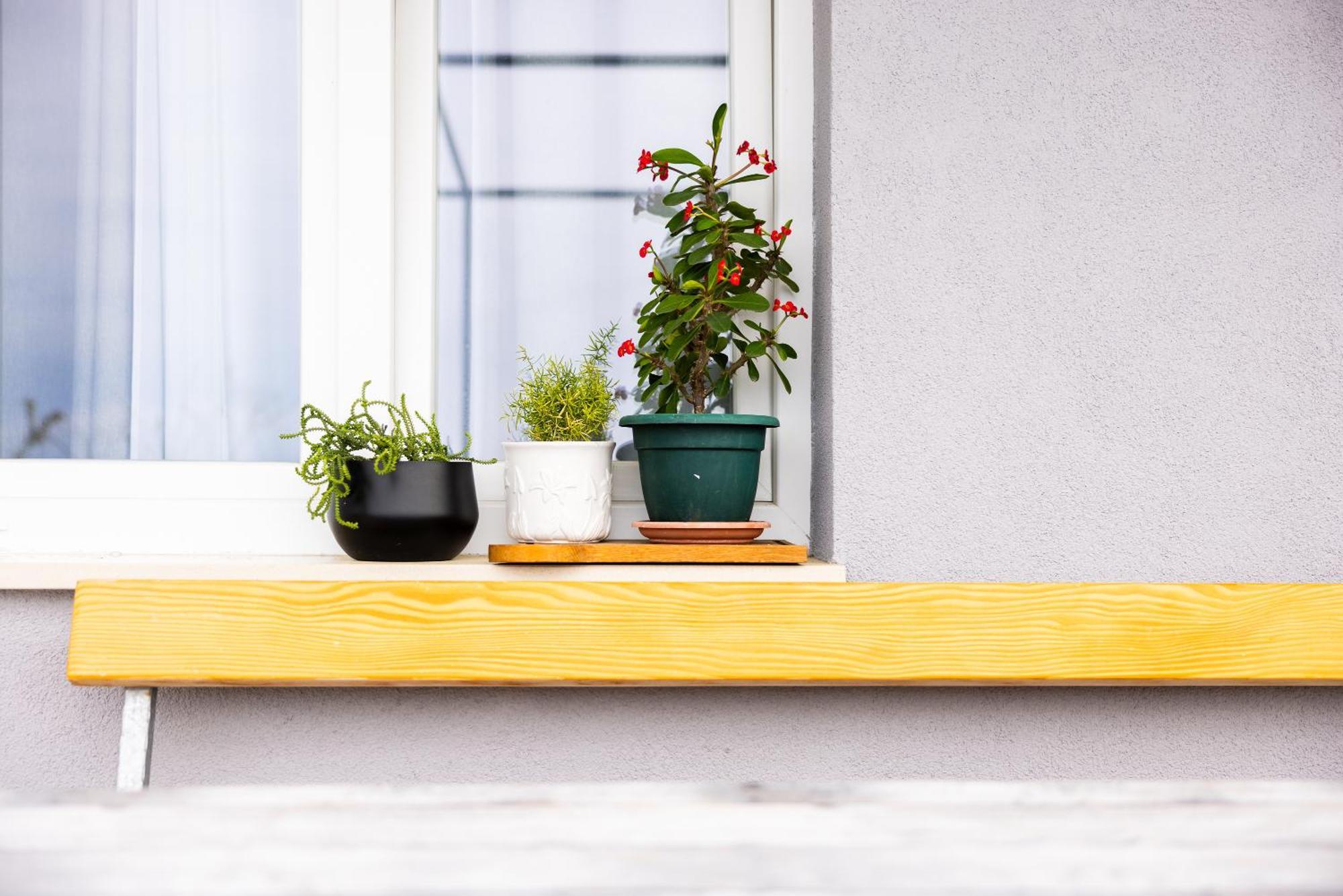 Apartman Nora أوميس المظهر الخارجي الصورة